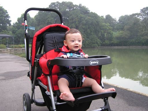 Which Stroller Is Suitable For 6 Months Old Baby