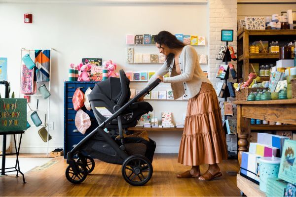 Compatibility with UPPAbaby Vista Strollers