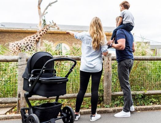 How To Pick A Stroller - Step-By-Step Guide
