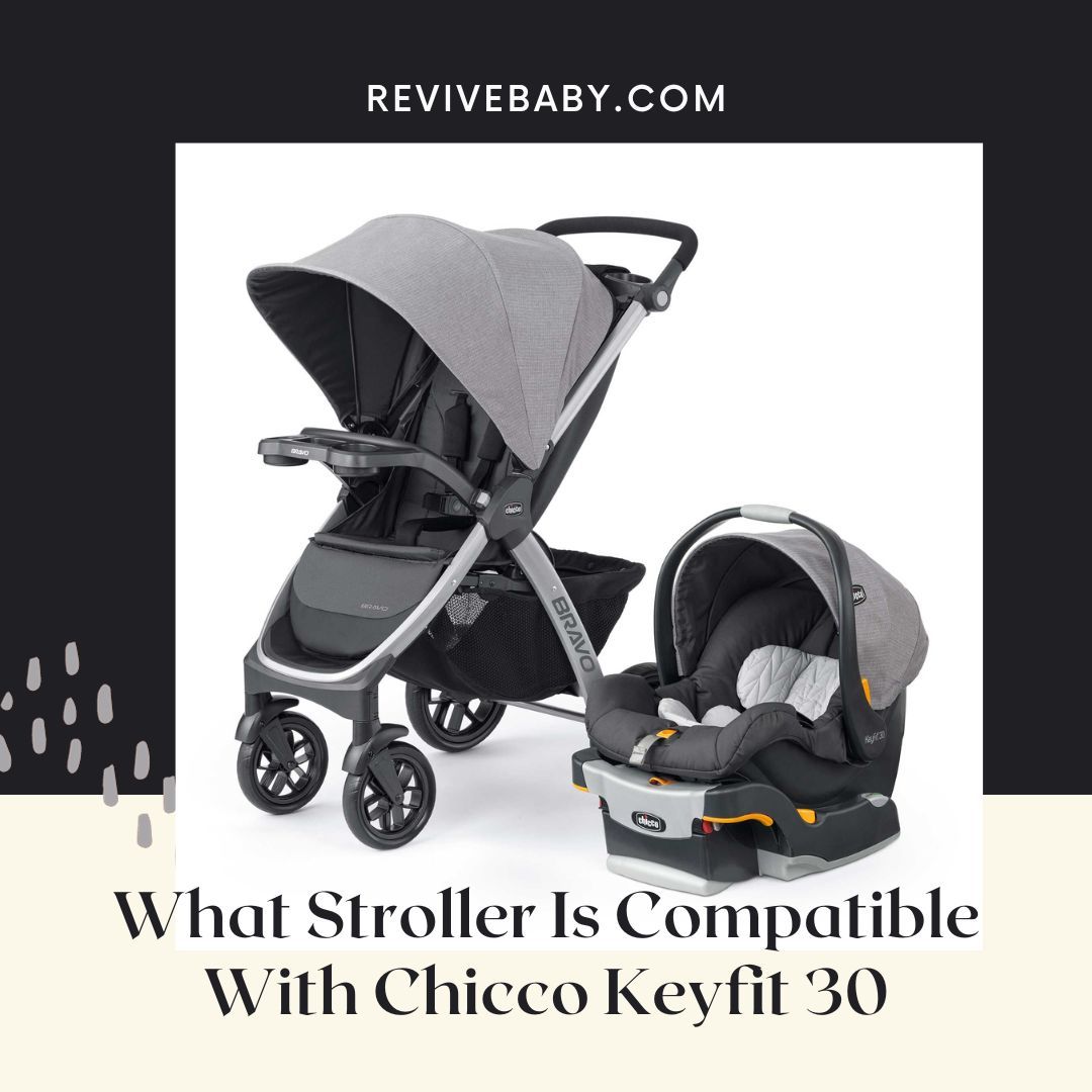 Chicco keyfit sale stroller compatibility