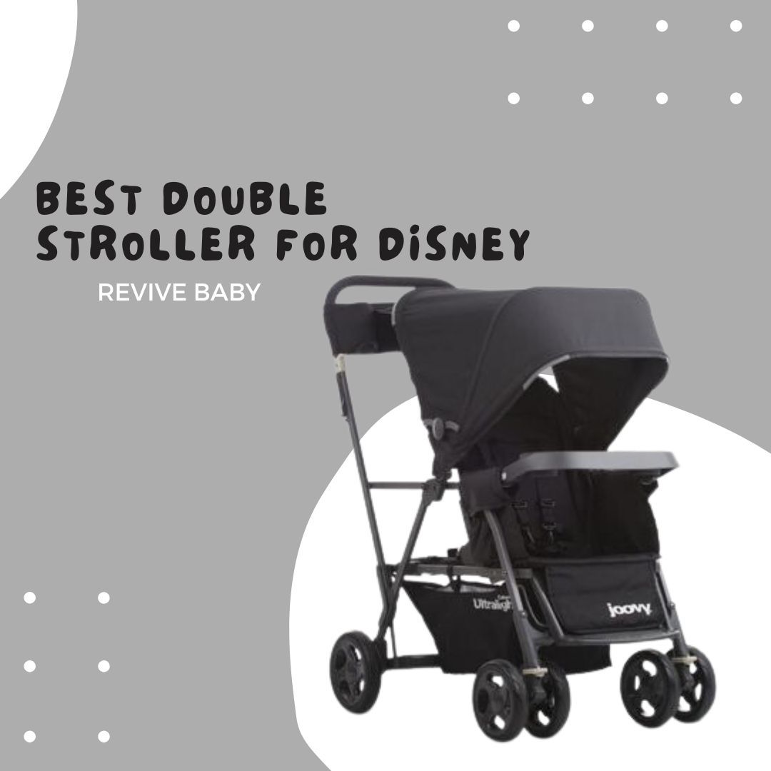 Best Double Stroller For Disney