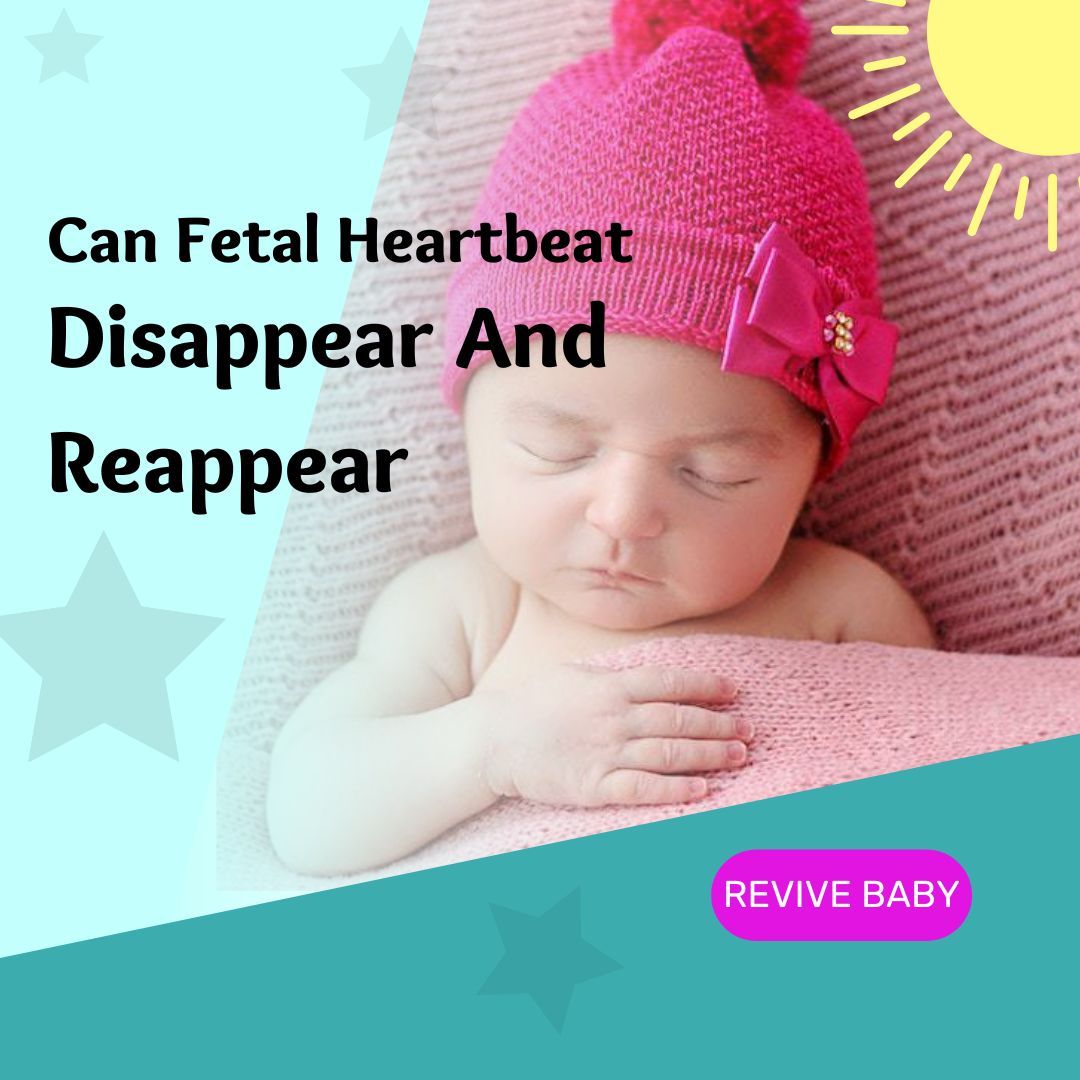 Can Fetal Heartbeat Disappear And Reappear