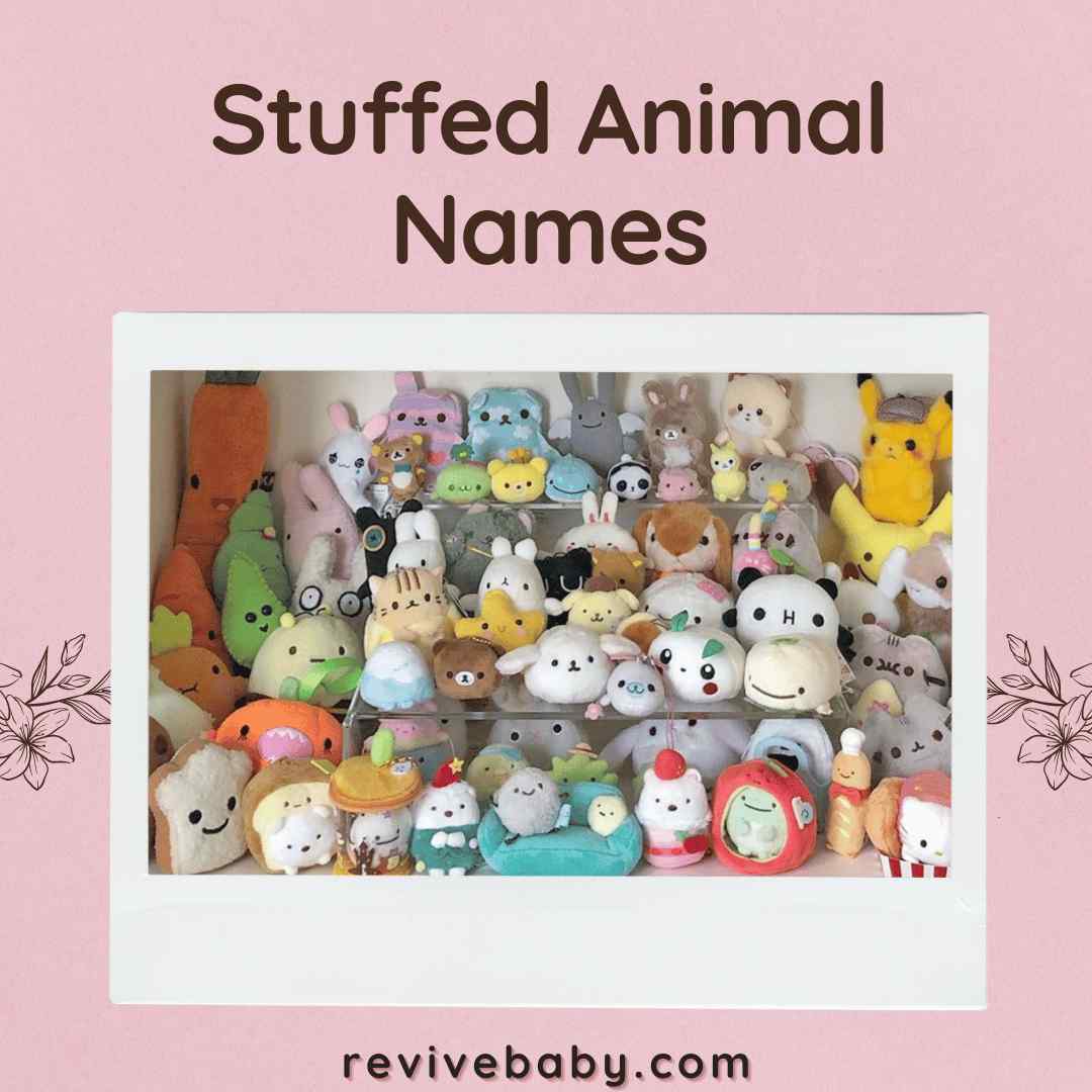 Stuffed Animal Names 