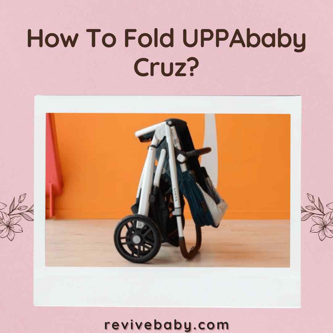 How To Fold UPPAbaby Cruz?