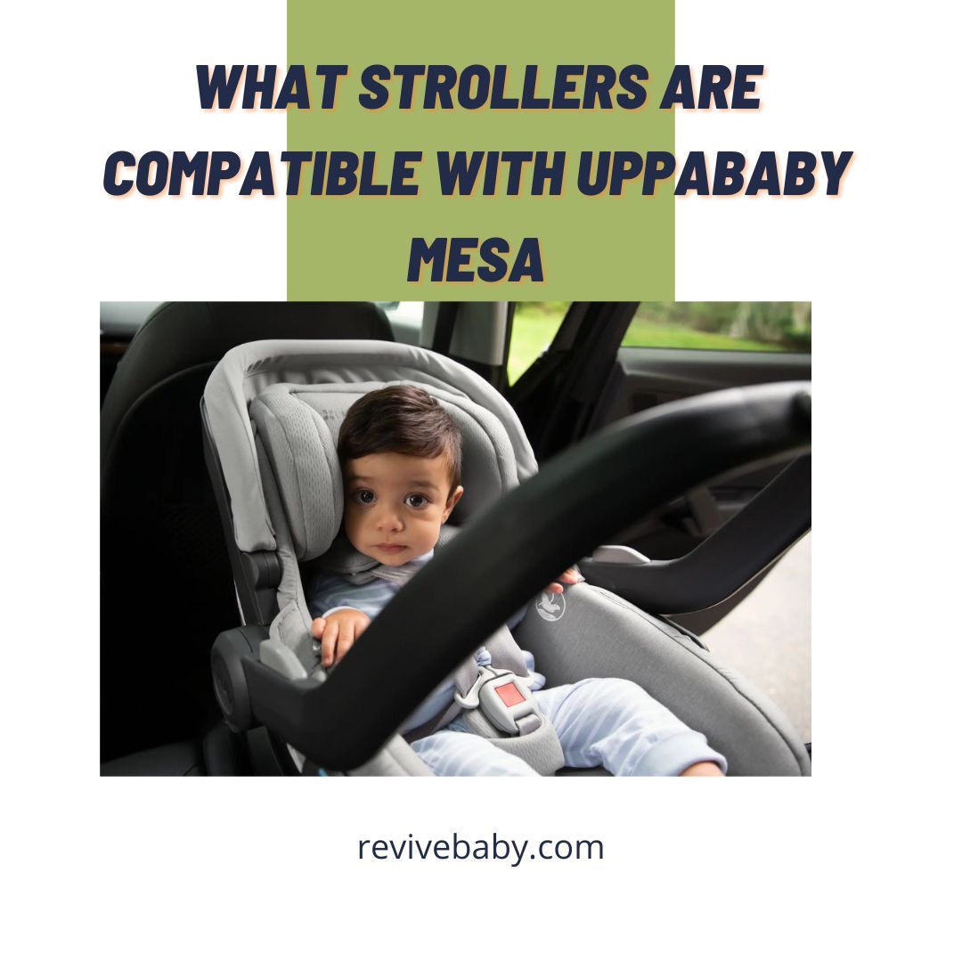 What Strollers Are Compatible With UPPAbaby Mesa